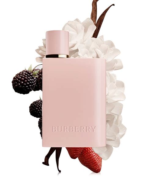 her elixer burberry|burberry her elixir reviews.